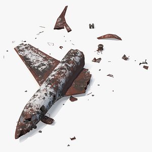 Broken Business Jet Wreckage without Tail Rusty 3D model