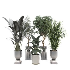 Plants 3D model
