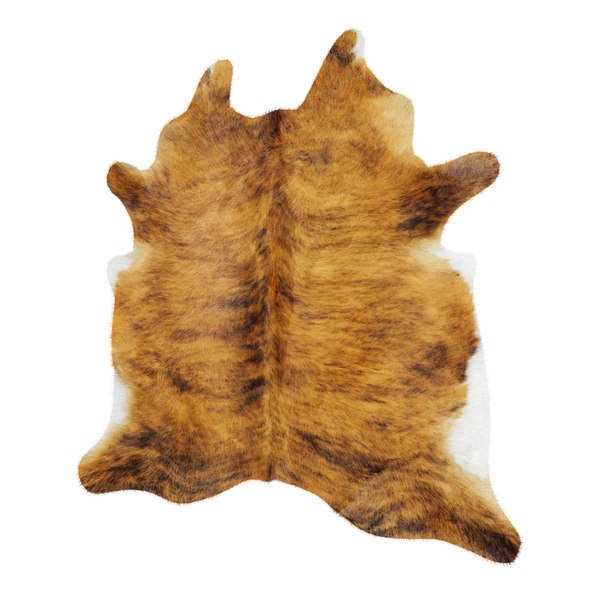 Animal skin rug 08 3D - TurboSquid 1779006