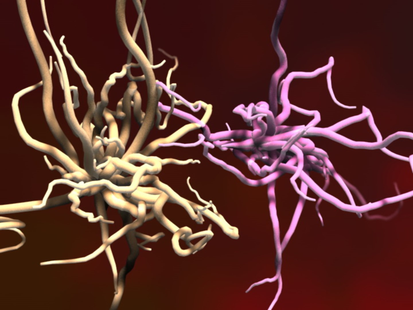 microbiological bacteria cell 3d model