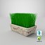verdure in vaso