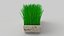 verdure in vaso