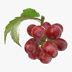 Bunch Grapes with Leaves 05