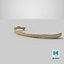 Real Costae Spurie Rib 01