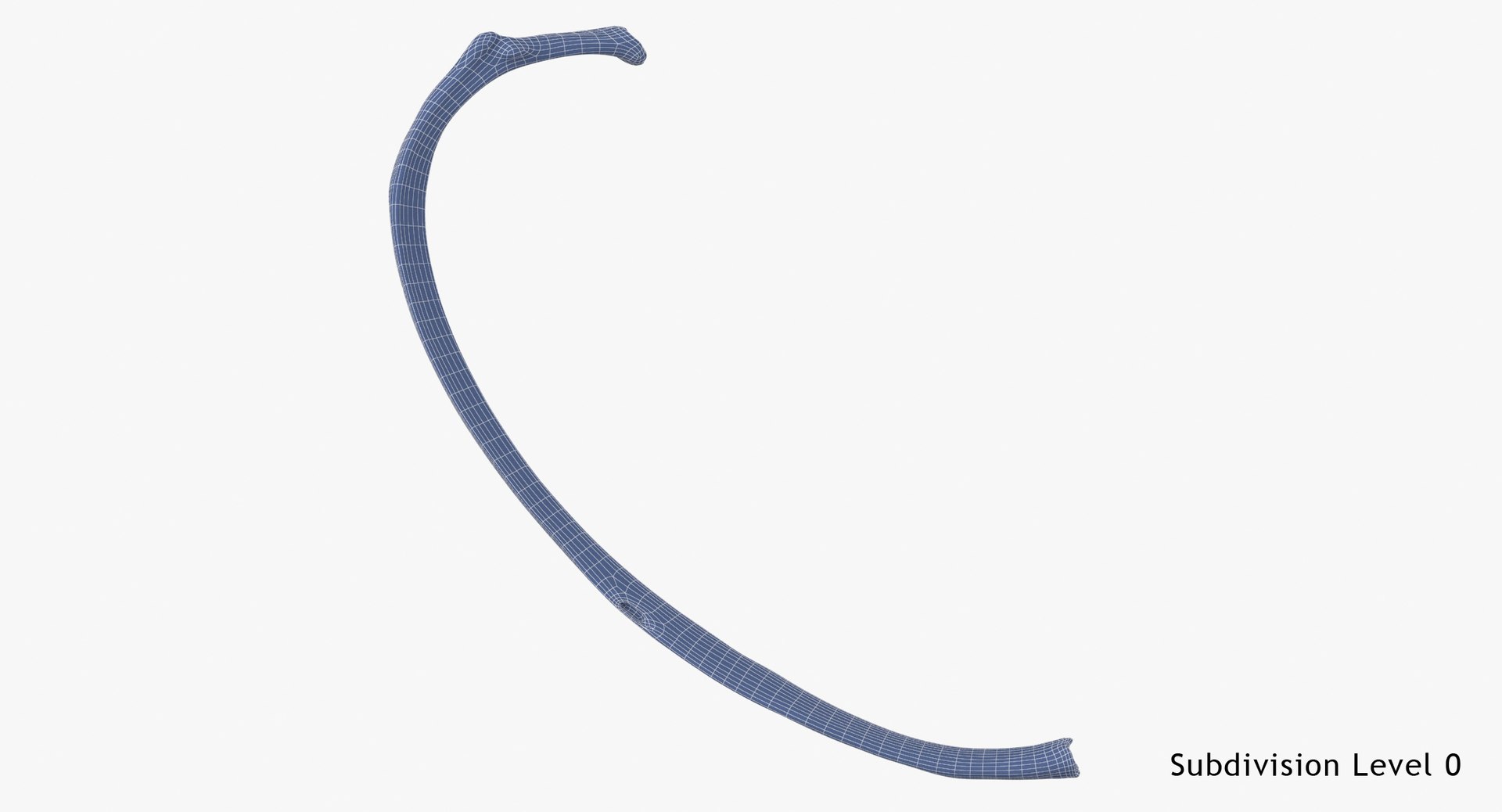3D costae spurie rib 01 https://p.turbosquid.com/ts-thumb/8A/aQoEBg/ZL0NX2Xh/costae_spurie_rib_01_wsubdiv0_0001/jpg/1590060010/1920x1080/fit_q87/8e0e87f8784020ca2977dfd359d070bdbec4d95d/costae_spurie_rib_01_wsubdiv0_0001.jpg