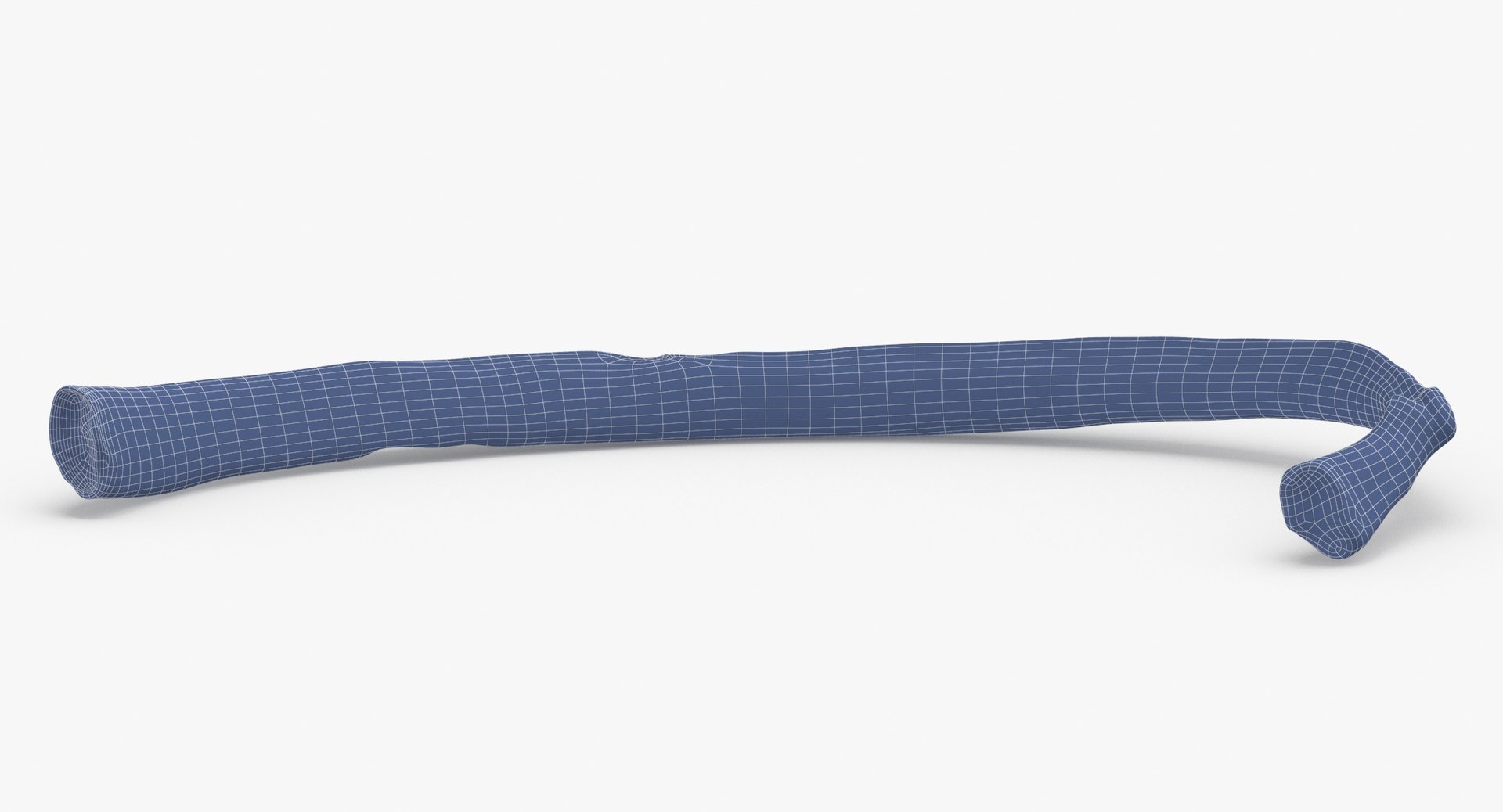 3D costae spurie rib 01 https://p.turbosquid.com/ts-thumb/8A/aQoEBg/yzuC4XsU/costae_spurie_rib_01_wireframe_0006/jpg/1590060010/1920x1080/fit_q87/eab258a3415ca37e528b9904ec823dbca0bd5fe8/costae_spurie_rib_01_wireframe_0006.jpg