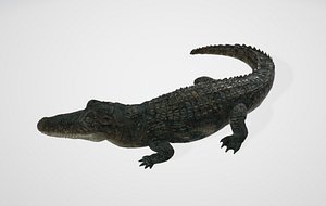 BLACK+DECKER Alligator - 3D model by leeAntony_Ton [f43dd37