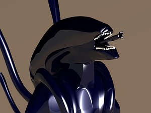PROTOTYPE WARRIOR (11 of 11)