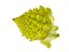 Romanesco broccoli cauliflower 8K