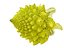 Romanesco broccoli cauliflower 8K