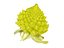 Romanesco broccoli cauliflower 8K