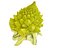 Romanesco broccoli cauliflower 8K