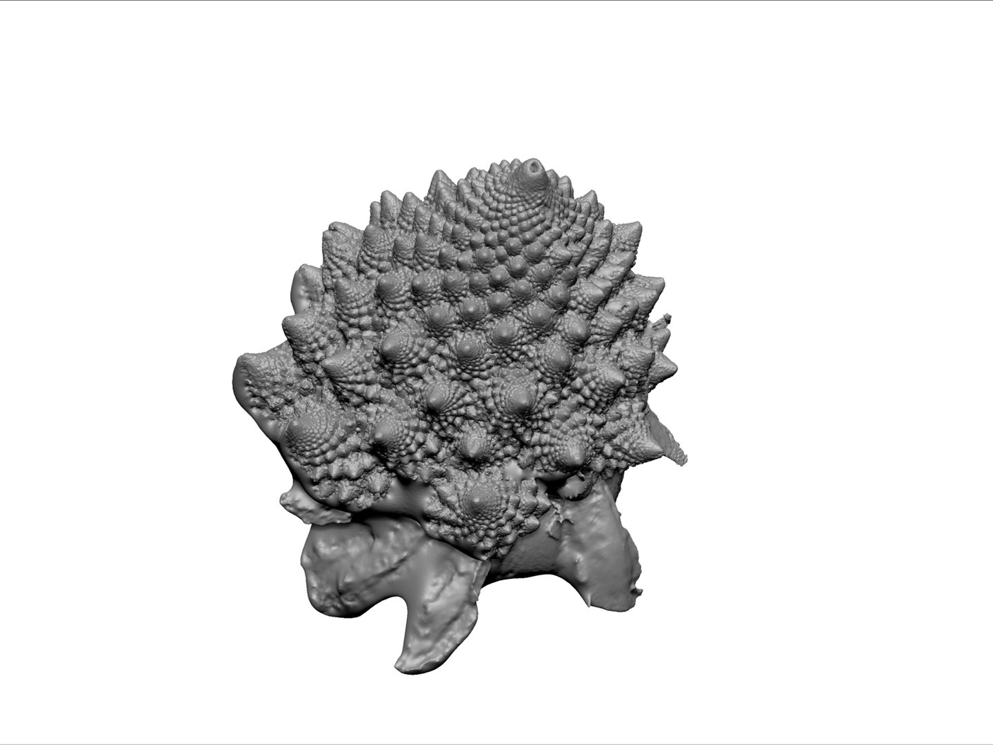 romanesco broccoli 8k max https://p.turbosquid.com/ts-thumb/8A/unQ0fg/jve4B5zs/76/jpg/1431284365/1920x1080/fit_q87/8270aa5e21a02c0dc028fd3b7848542165226aeb/76.jpg