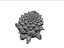 Romanesco broccoli cauliflower 8K