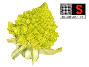 romanesco broccoli 8k max