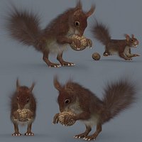 My Squirrel - 8k - 3d animated squirrel