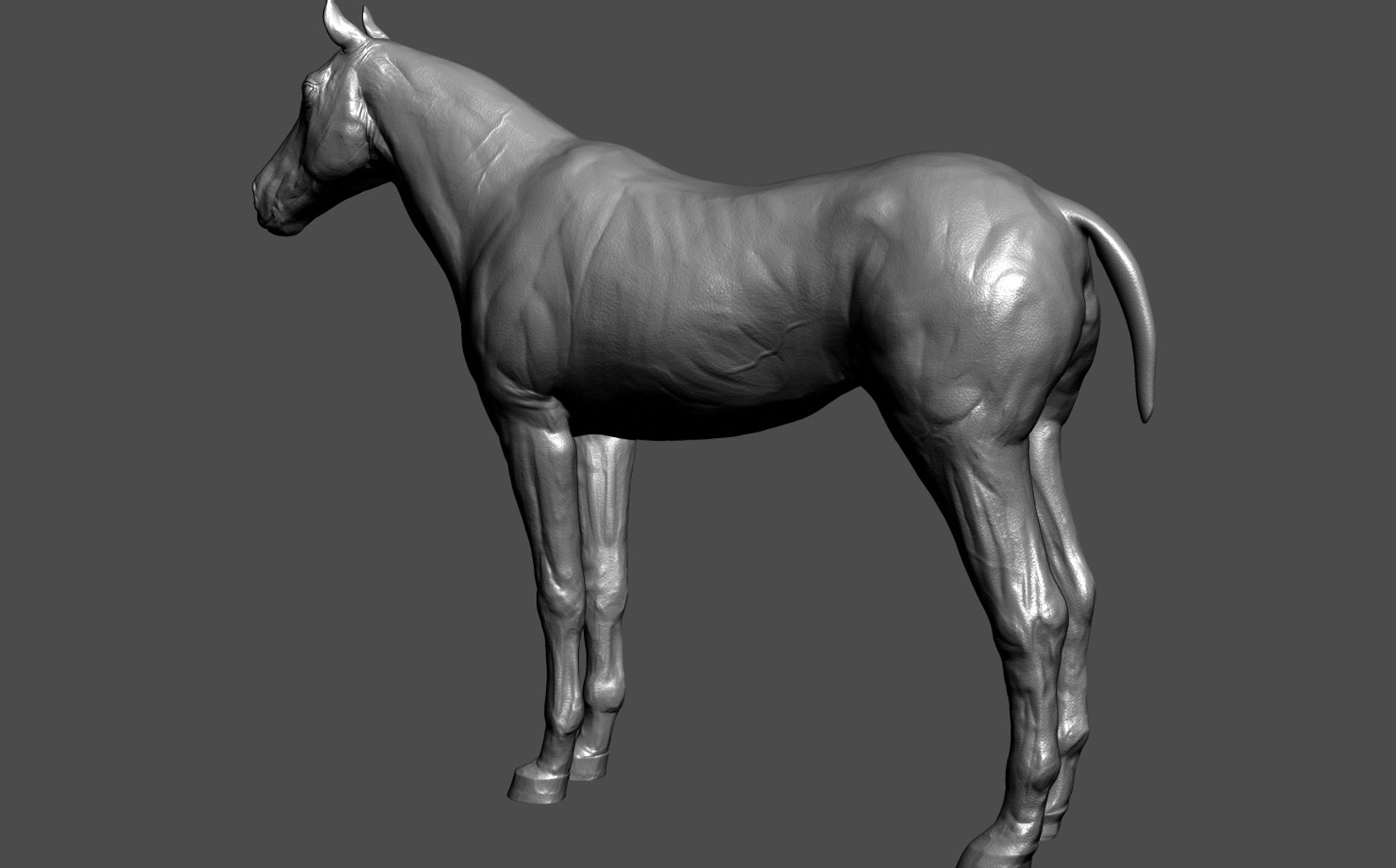 3D Horse Realistic Model - TurboSquid 2239542