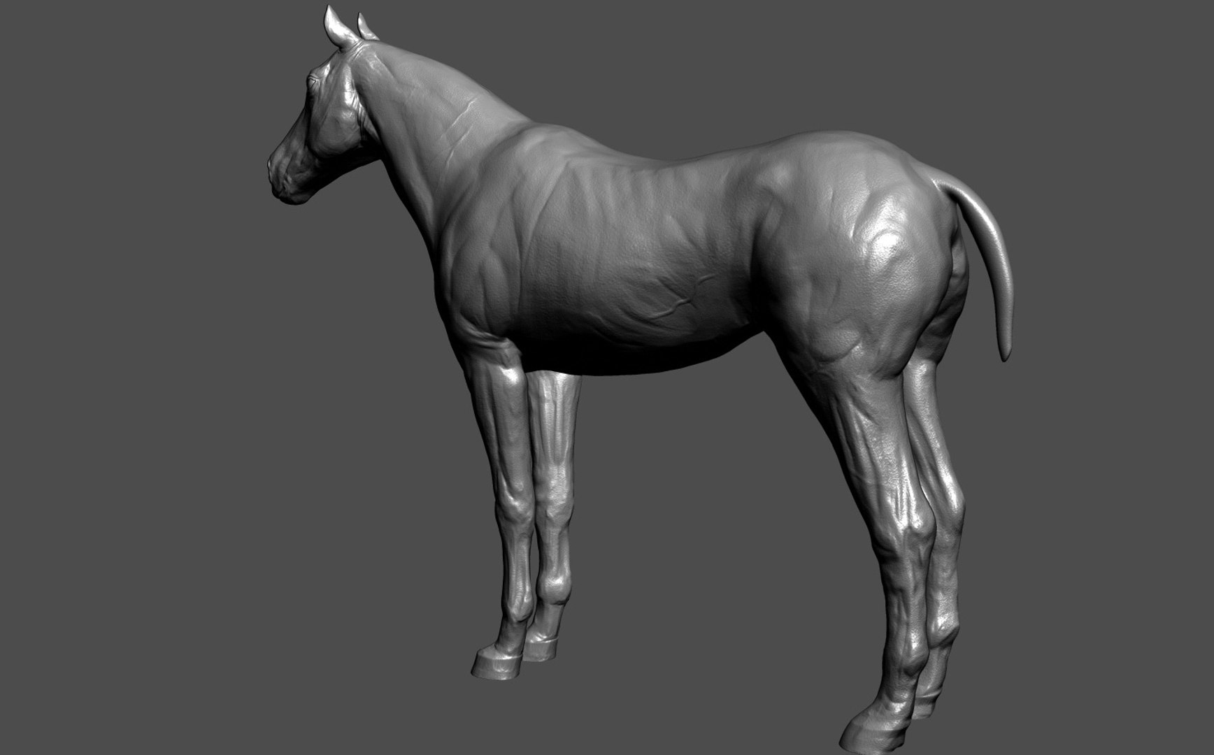 3D Horse Realistic Model - TurboSquid 2239542