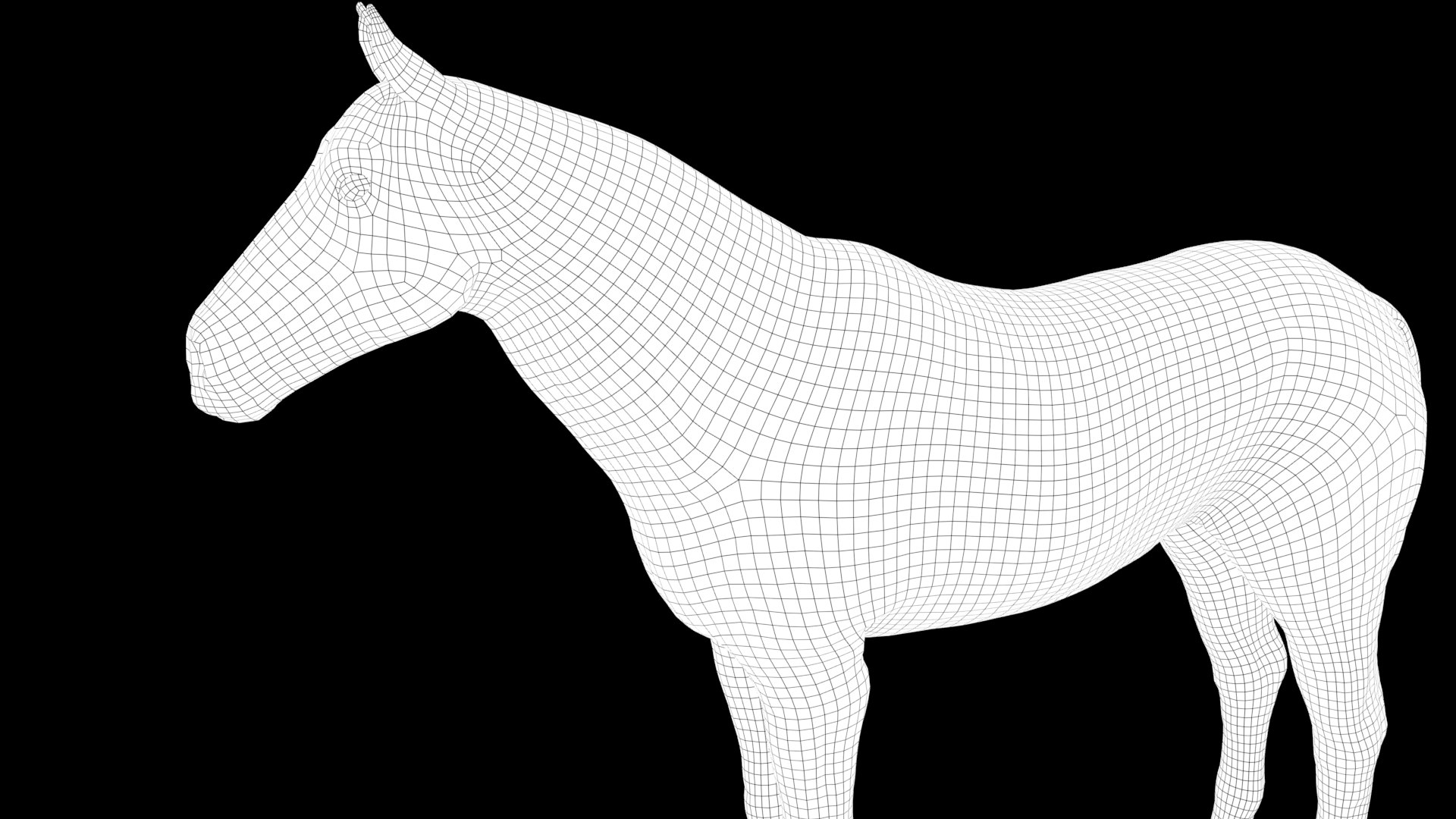 3D Horse Realistic Model - TurboSquid 2239542