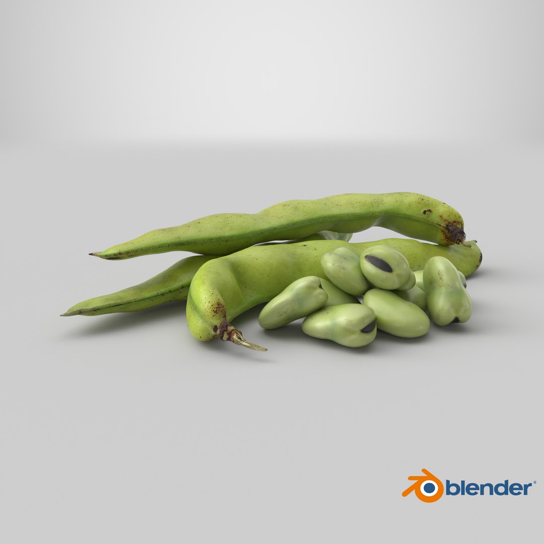Broad Beans model https://p.turbosquid.com/ts-thumb/8B/09Edk3/GQ/stemcell_blender_cycles_render/png/1782794206/1920x1080/fit_q87/118bca881bb7bb2338a0f1184237b5978e4859ce/stemcell_blender_cycles_render.jpg