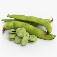 Broad Beans