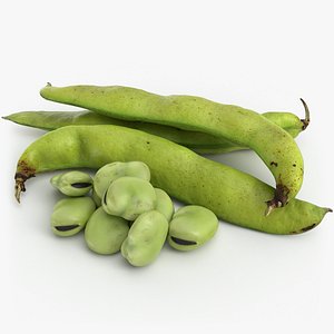 Broad Beans