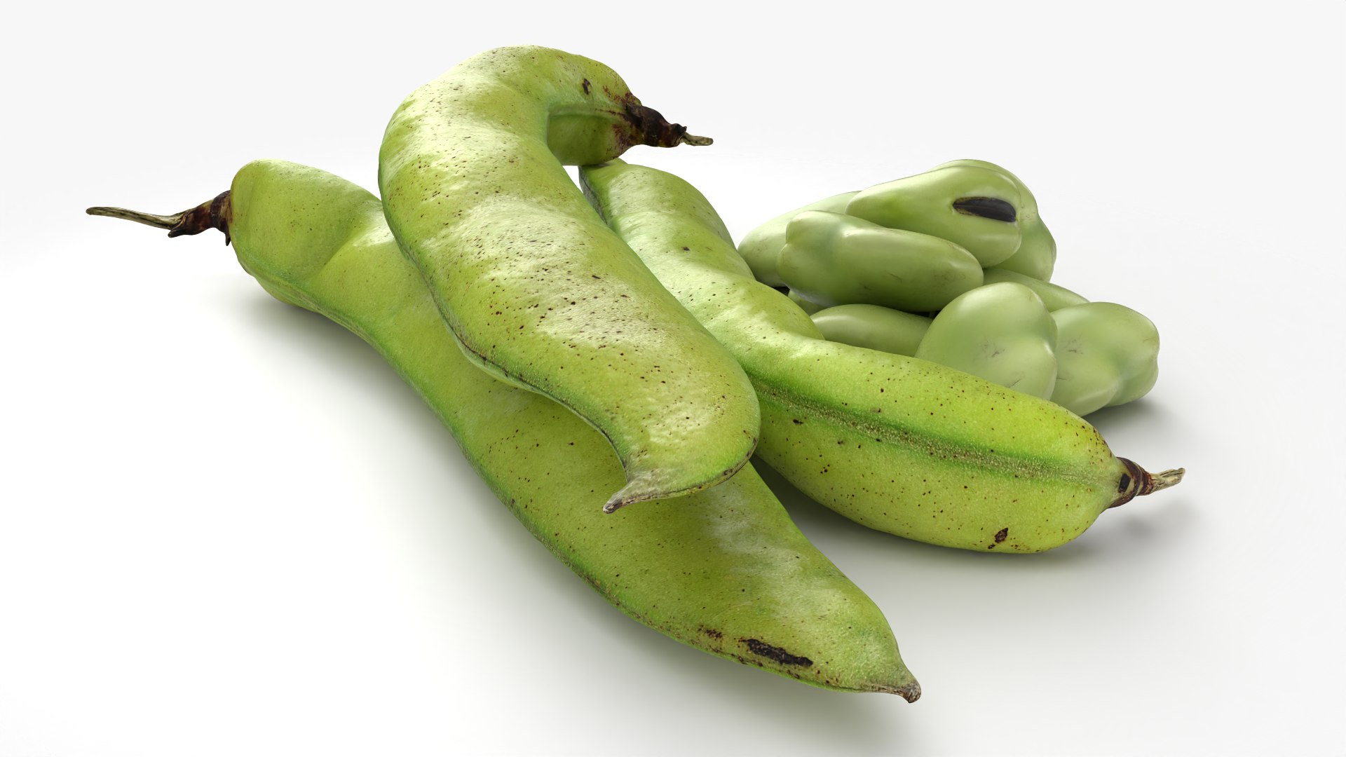 Broad Beans model https://p.turbosquid.com/ts-thumb/8B/09Edk3/My/broadbeankernel_0004/png/1782501556/1920x1080/fit_q87/28d54803123da97571ace398d79a31dd9cff0038/broadbeankernel_0004.jpg
