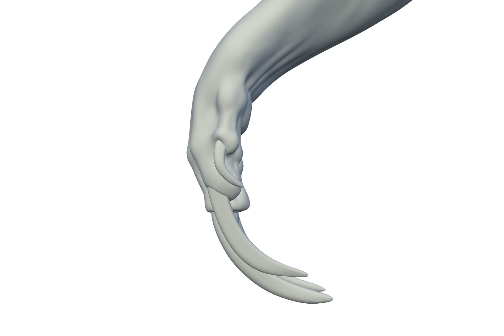 3D Sloth https://p.turbosquid.com/ts-thumb/8B/16xJyd/df/render_17/jpg/1712417624/1920x1080/fit_q87/0343440e3466fda019cd4f2b9776fce5cb3c2792/render_17.jpg