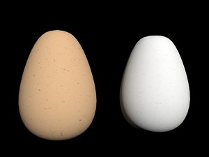 3d model egg