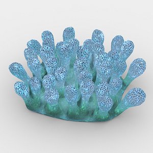 coral sea 3d max