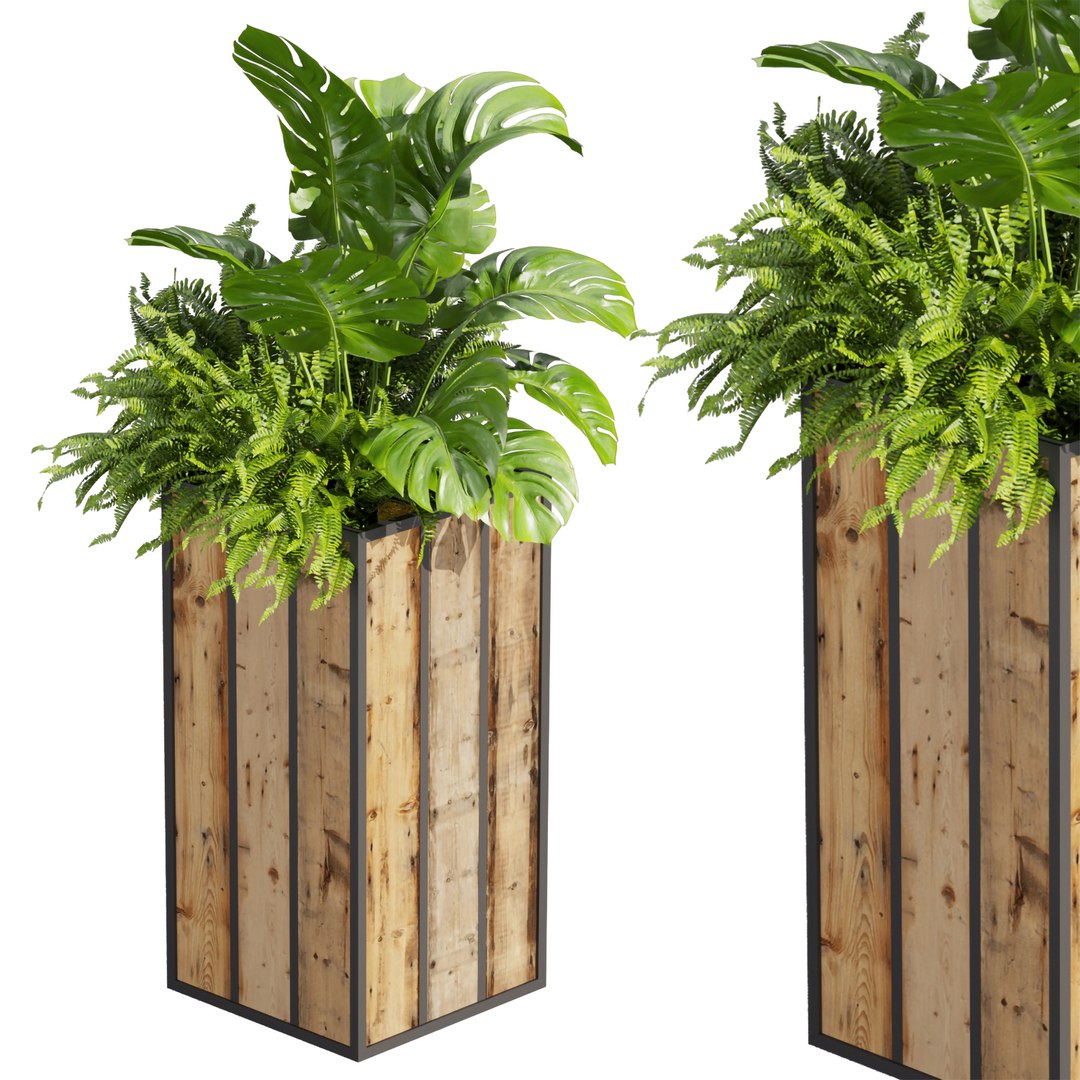 Collection plant vol 514 - box - banana - office 3D model https://p.turbosquid.com/ts-thumb/8B/5hAZJM/qb/0_0005_6.jpg/jpg/1691915050/1920x1080/fit_q87/663f7974caa334a956960be842508e3f93f85bf1/0_0005_6.jpg.jpg