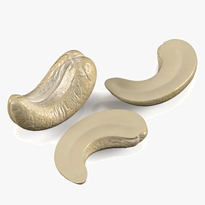 Cashew Kernels model