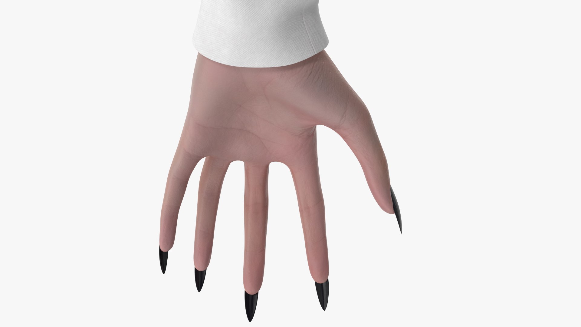 3D Witch 7 https://p.turbosquid.com/ts-thumb/8B/j2HsvQ/Mm/angles_44/jpg/1697614627/1920x1080/fit_q87/3bbefdd037b977301c8781c69efe501f9a9bb7ae/angles_44.jpg