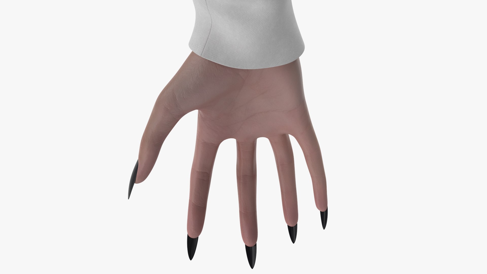 3D Witch 7 https://p.turbosquid.com/ts-thumb/8B/j2HsvQ/TI/angles_42/jpg/1697614608/1920x1080/fit_q87/d9a41e897d897e72547bcde5185484281dd56ee9/angles_42.jpg