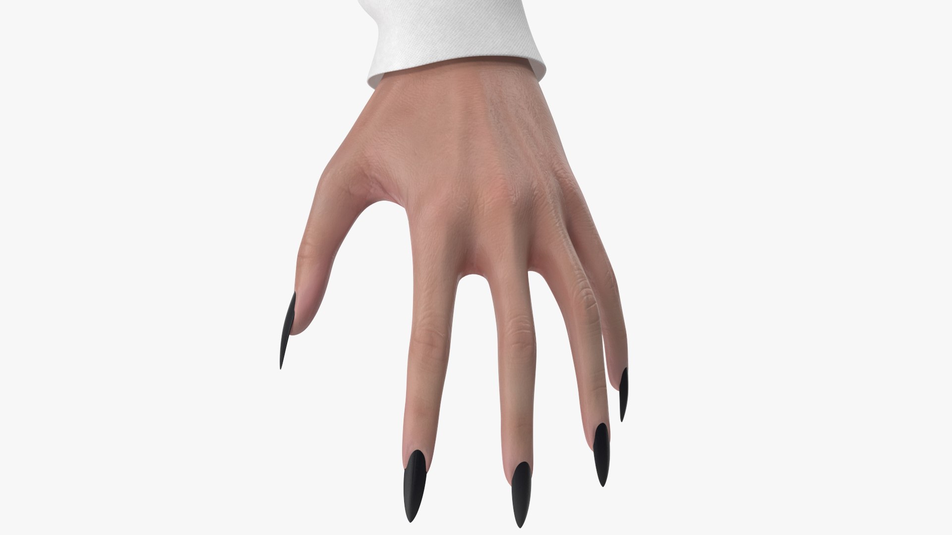3D Witch 7 https://p.turbosquid.com/ts-thumb/8B/j2HsvQ/X3/angles_43/jpg/1697614626/1920x1080/fit_q87/bacbceee4b74524a34820701b3fda50da2bcfbbc/angles_43.jpg