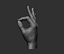 3D Male hand model