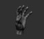 3D Male hand model