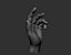 3D Male hand model