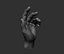 3D Male hand model