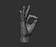 3D Male hand model