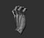 3D Male hand model