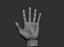 3D Male hand model
