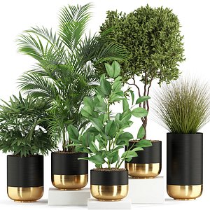 3D Plants collection 540 model