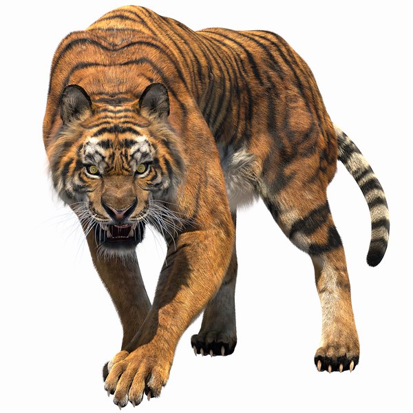 Tigre (pele) Modelo 3D $99 - .obj .fbx .unknown .max - Free3D