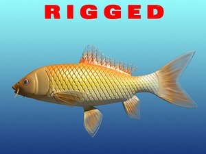 3d rigged gold fish