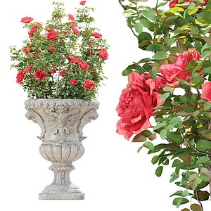 Classic Ornamental Planter with Roses 3D Model Vol 336 3D