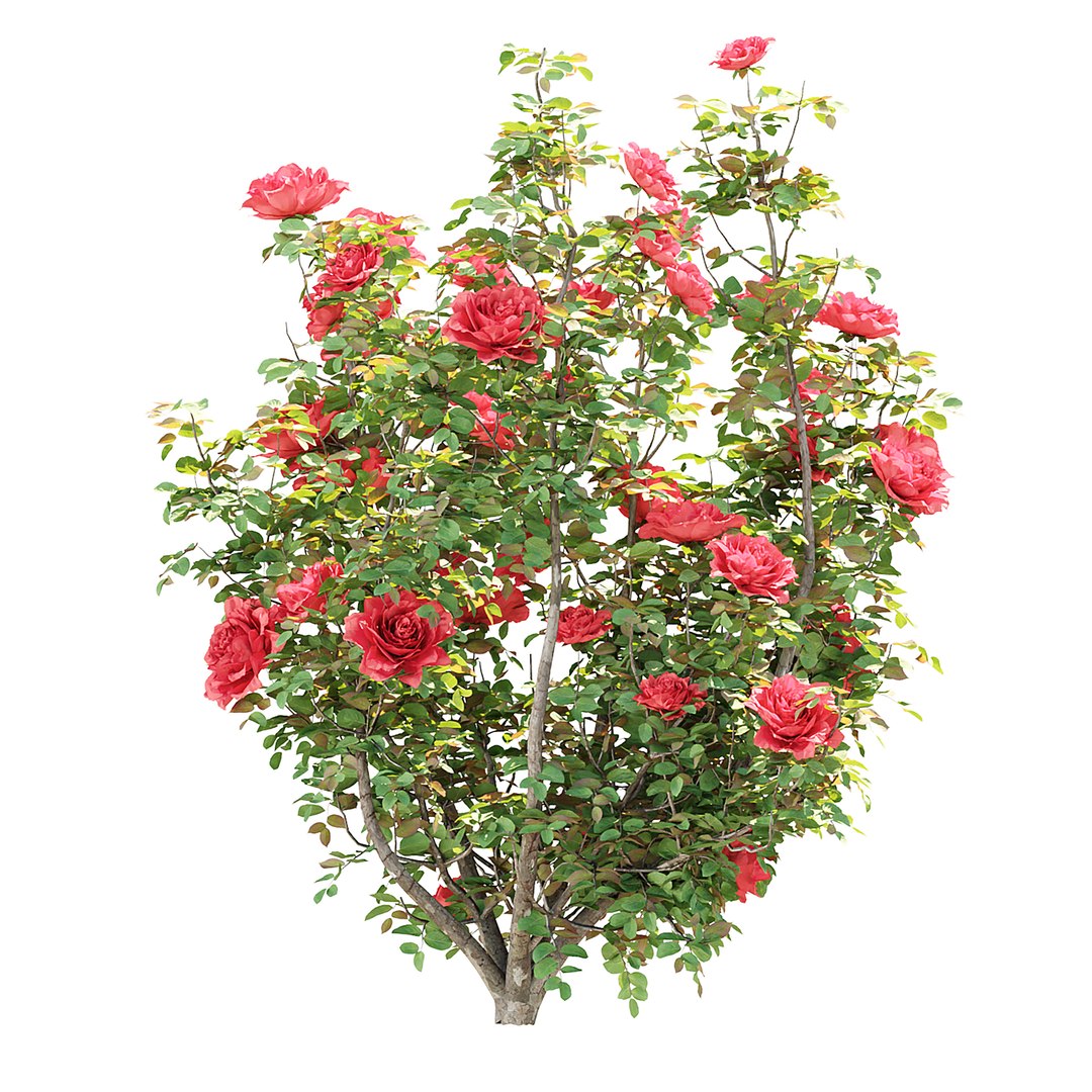 3D Premium Indoor &amp; Outdoor Plant Collection Bundle 100 https://p.turbosquid.com/ts-thumb/8C/EdvjXw/sx/2/jpg/1789464921/1920x1080/fit_q87/291f2d9c62dccb6448ce549bd2c47c60ad3c9389/2.jpg