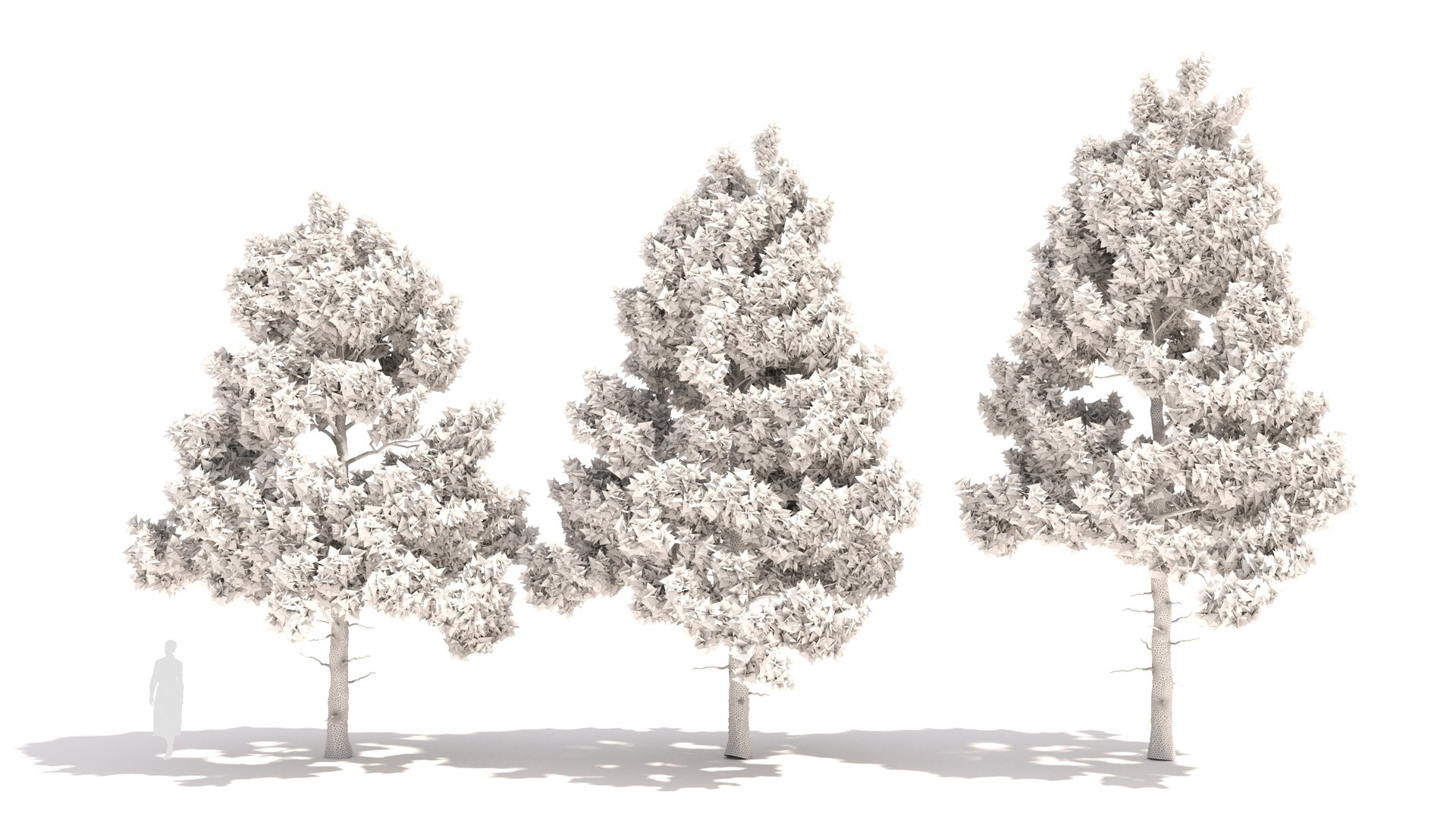 Pinus tree 3D model https://p.turbosquid.com/ts-thumb/8C/MT5cLl/lP/pinus22/jpg/1681699715/1920x1080/fit_q87/74f819e44cbb2da0261a82ce1bafe74e3ce9bd68/pinus22.jpg