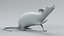 3D model Decorative Rat Rigged Xgen