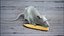 3D model Decorative Rat Rigged Xgen